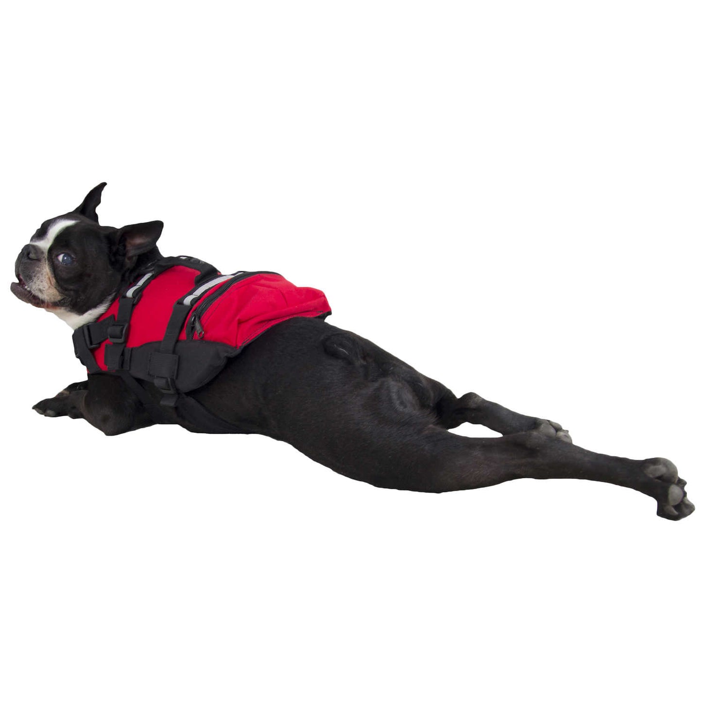 NRS Canine Floatation Device