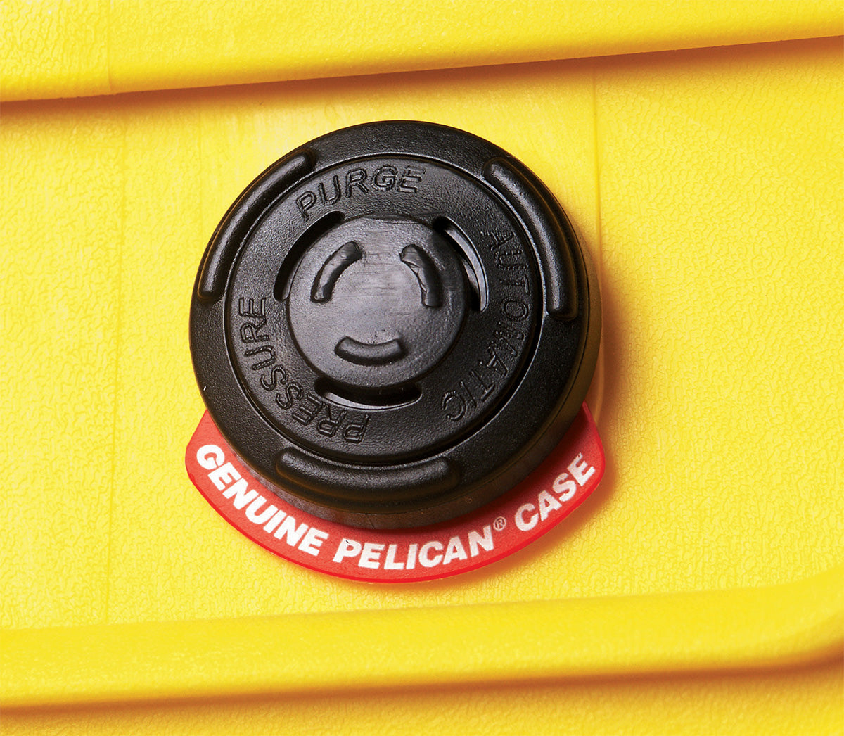 Pelican Case 1150 Dry Box